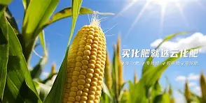 ?~滴zif1|惁麁n尯??&amp;?橺gy(は和が一起使用)-开云在线